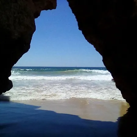 Da Rocha *